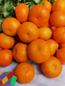 沙糖橘