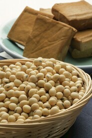 豆子