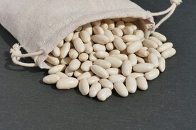豆子 