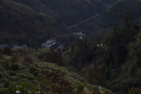 高山