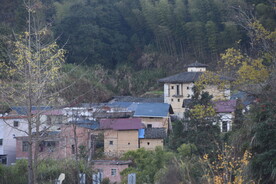 新农村