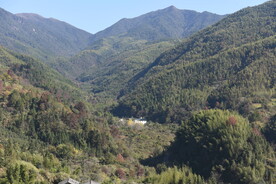 唯美风景