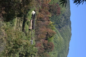 乡村景观