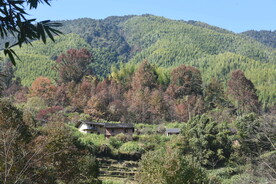 山水风景