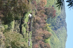 自然风景