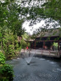 棠湖公园