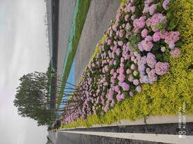 东部新区三岔站