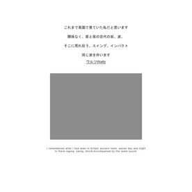  杂志风格文字排版字体装饰元素