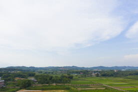 风景