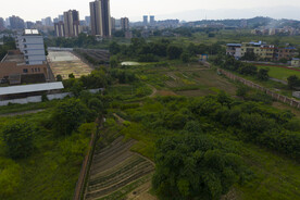 风景