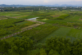风景