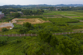 风景