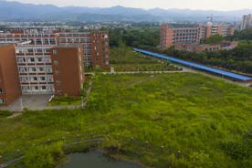 校园