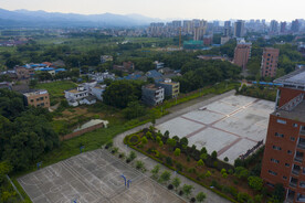 草坪