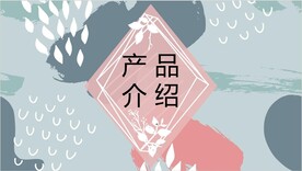 产品介绍PPT