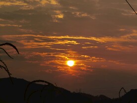 夕阳西下红日西边挂