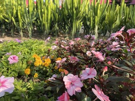 花