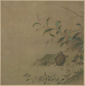 蓼龟