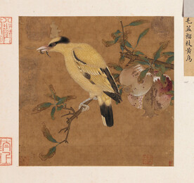 榴枝黄鸟