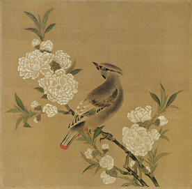 桃花山鸟