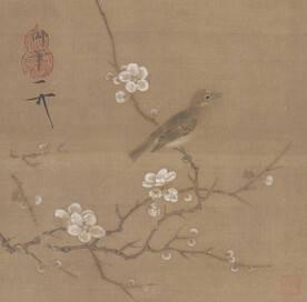 梅花绣眼