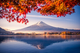 山景