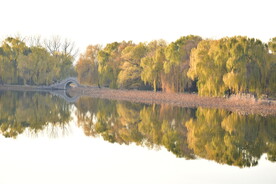 公园景观湖