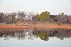 公园景观湖