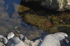 泉水河流流水湖泊小溪瀑布山泉