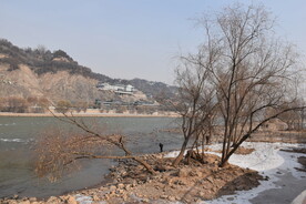 冬天兰州黄河沿岸风光石滩