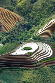 梯田