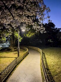 乡间小路