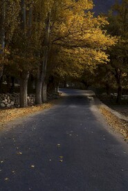 乡间小路