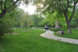 龙潭公园植物景观