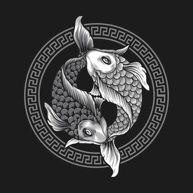 阴阳太极锦鲤