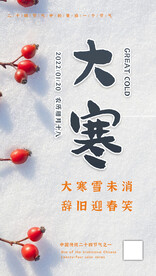 二十四节气大寒海报
