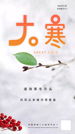 二十四节气大寒海报