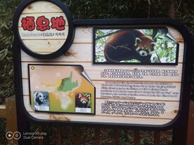成都熊猫基地