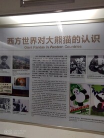 成都熊猫基地 