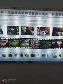 成都熊猫基地