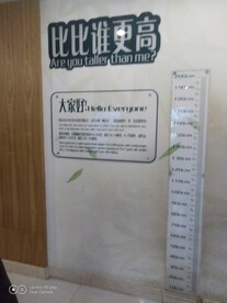  成都熊猫基地