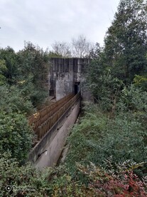  成都熊猫基地
