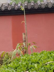 成都永陵博物馆