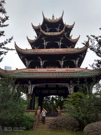 望江公园