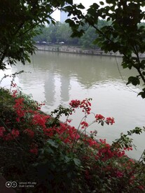 望江公园 