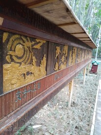 望江公园 