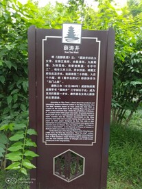 望江公园