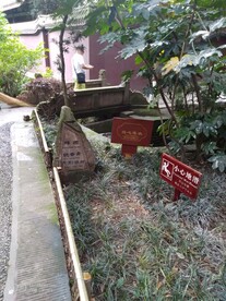 新繁东湖公园