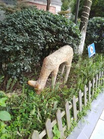 新繁东湖公园
