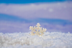 冬天雪花花瓣
